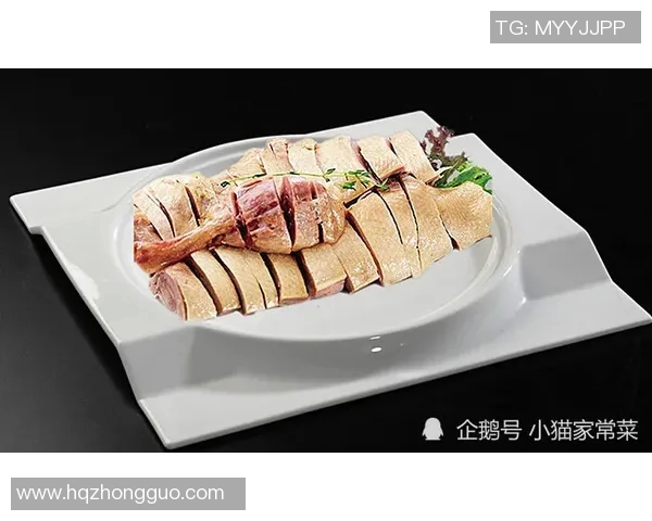 黄丽独家揭秘网球技巧与心得分享助你提升球技的秘密之道